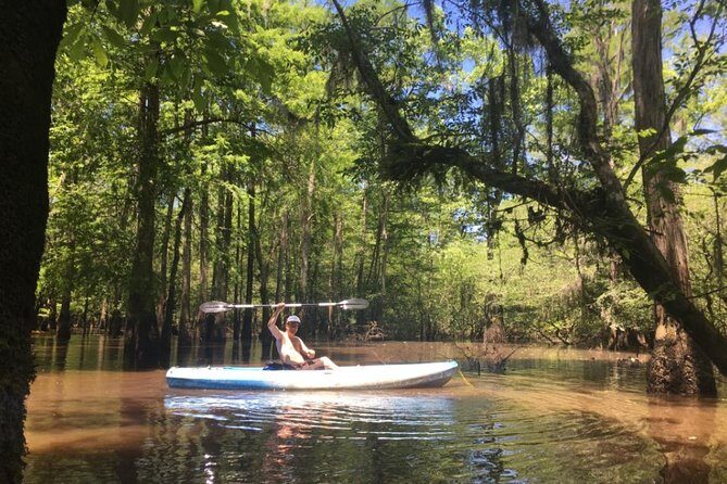 Small-Group Manchac Swamp Kayak Tour - Weather and Wildlife: What to Expect