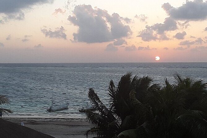 Small-Group Mesoamerican Barrier Reef Snorkeling in Puerto Morelos - Who Is This Tour Best For?