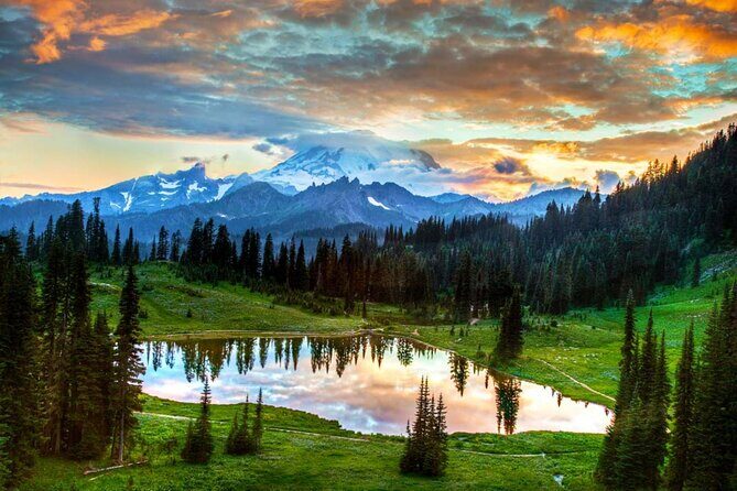 Small Group Mt Rainier National Park Day Tour from Seattle 2CanGo - The Experience and Its Benefits