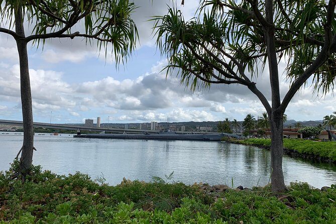 Small Group-Oahu Tour, Dole Plantation, Northshore, Sunset Beach - Detailed Breakdown of the Itinerary