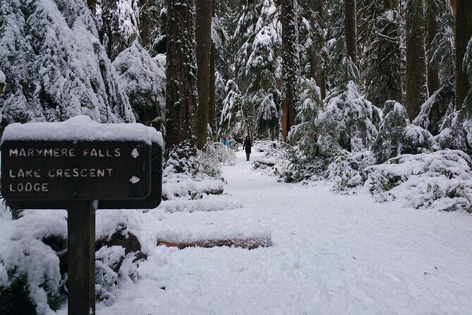 Small Group Olympic National Park Day Tour from Seattle 2CanGo - Highlights of the Itinerary