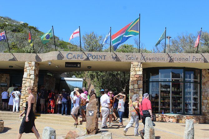 Small Group Private Tour To Cape Point Penguins From Cape Town Excl Entry Fees - The Sum Up