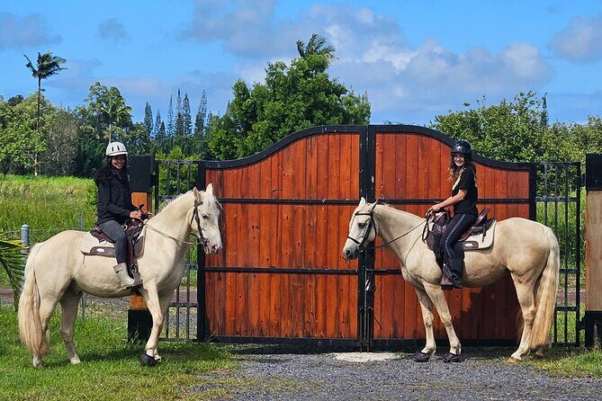 Small Group Rainforest Trail Ride - Practical Considerations