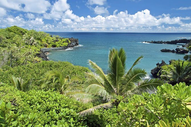 Small-Group Road to Hana Adventure Tour with Pickup & Lunch - Who Is This Tour Best For?