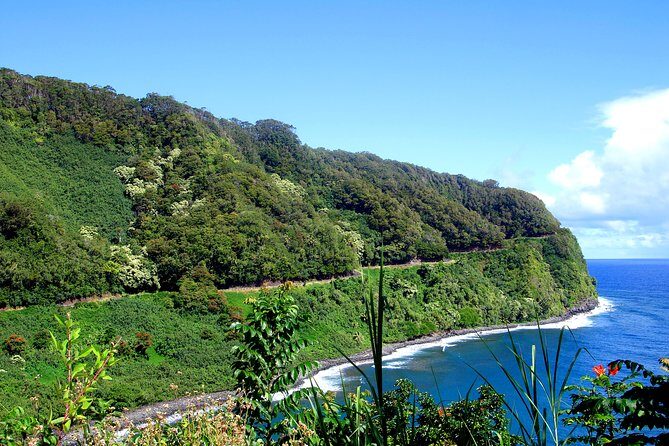 Small-Group Road to Hana Luxury Tour - Who Would Love This Tour?