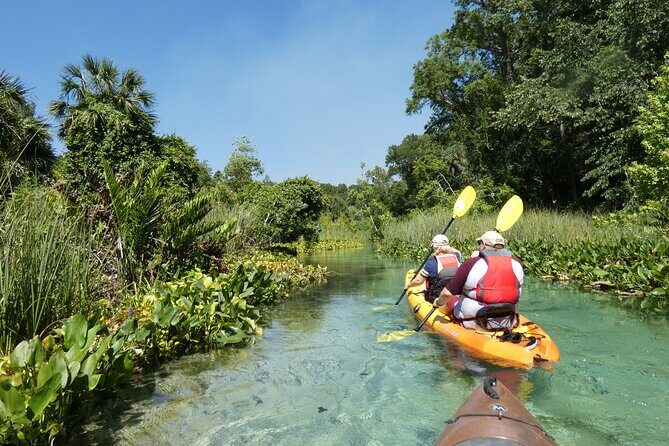 Small Group Rock Springs Run Eco Kayak Adventure - Practical Tips for Participants