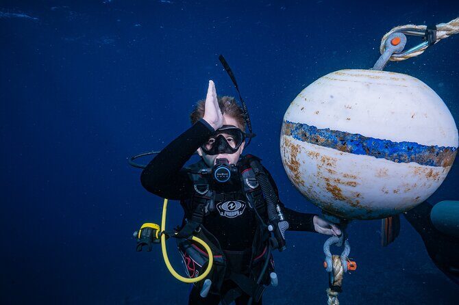 Small-Group Shark and Turtle Dive for Certified Divers - FAQ