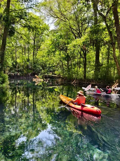Small Group Silver Springs State Park Day Tour from Orlando - Value and Practical Considerations