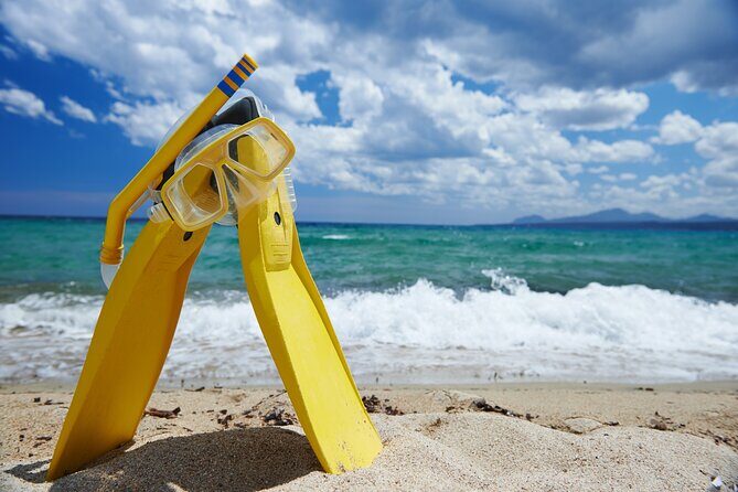 Small-Group Snorkel Adventure in San Jose del Cabo - Detailed Itinerary Breakdown