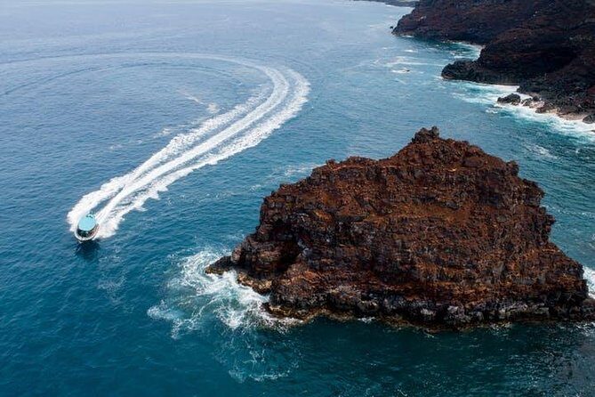 Small Group Snorkeling Expedition South Kona - The Value: Price vs. Experience