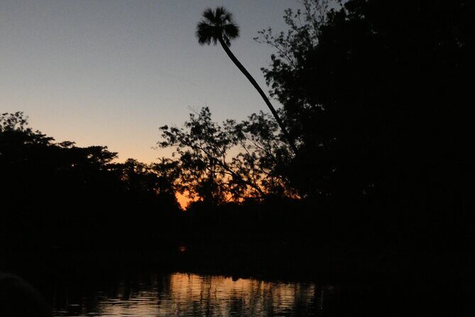 Small Group Sunset Paddle Among Manatees near Orlando - Who Will Love This Tour?