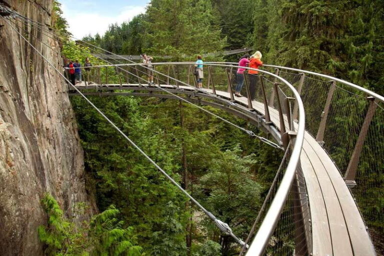 Small group tour of Capilano Bridge & Grouse Mountain - Value and Practical Advice