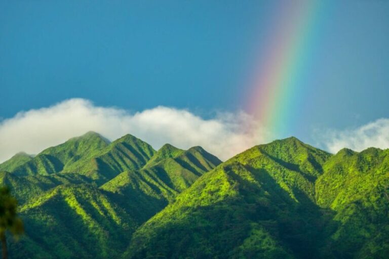 Small Group Tour of Honolulu Scenic Vistas with Sunset - Discovering Vibrant Gardens and Natural Wonders