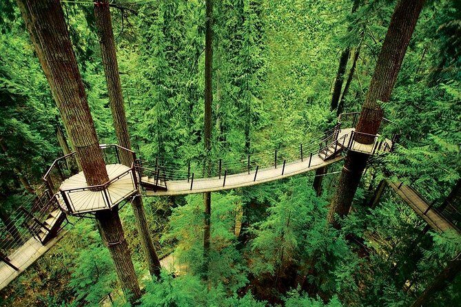 Small Group Tour: Vancouver Sightseeing and Capilano Suspension Bridge - What’s Included and What’s Not