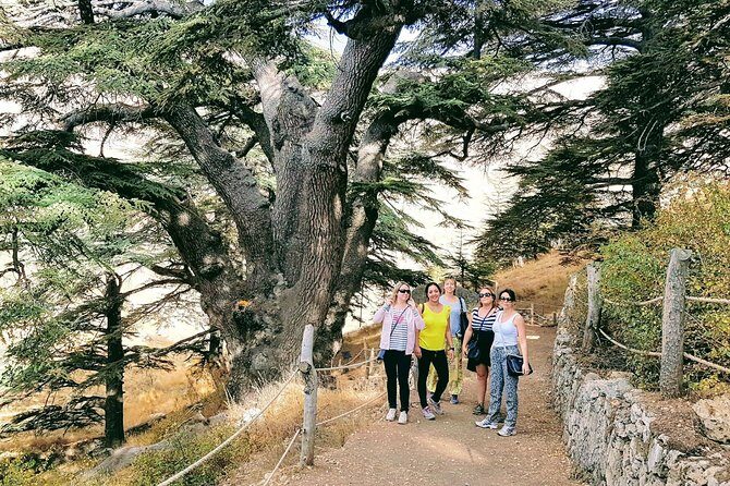 Small-Group Tour with Lunch to Qadisha Valley, Bcharre and Cedars - Why This Tour Offers Great Value