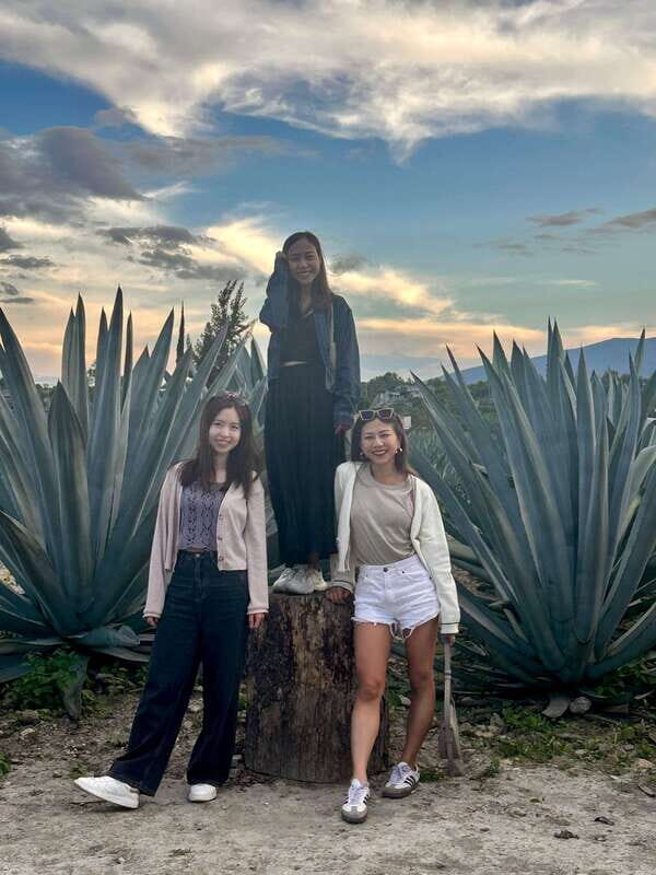 Small group tours: Hierve el Agua, Mezcal, Teotitlán, Mitla and Tule. - Transportation and Group Size