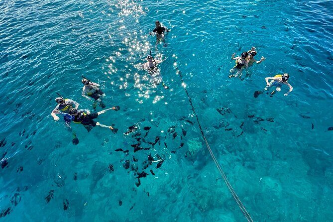 Small Group Turtle Canyon Snorkel in Waikiki - Final Thoughts