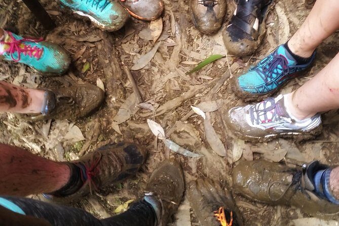 Small Group Waterfall and Rainforest Hiking Adventure on Maui - Who Should Consider This Tour?