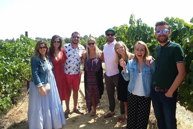 Small-Group Wine Country Tour from San Francisco with Tastings - Why This Tour Offers Great Value