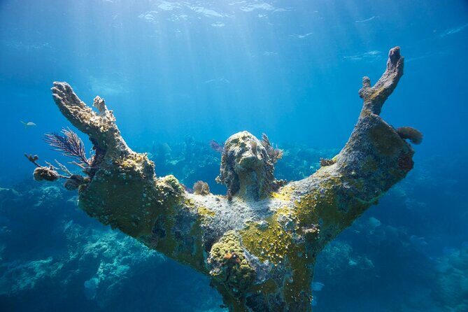 Small - Guided Shallow 2 Tank Dive Experience in Key Largo ALL GEAR INCLUDED - What We Loved