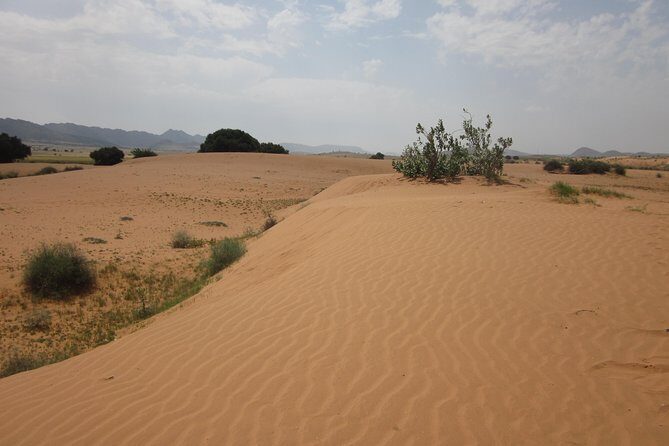 Small Sahara Desert From Agadir With Lunch 4x4 - What Do the Reviews Say?