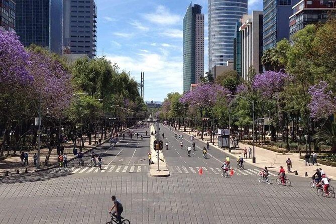 Small VIP Group: The Ultimate Mexico City Tour - Authentic Experiences and Real Feedback