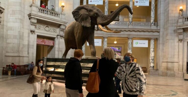 Smithsonian National Museum of Natural History Guided Tour - What Makes This Tour Stand Out?