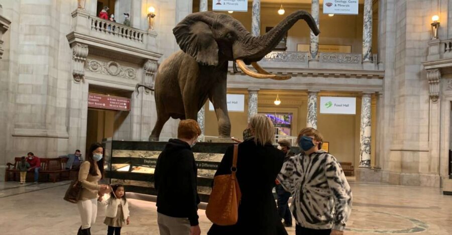Smithsonian National Museum of Natural History Guided Tour - What Makes This Tour Stand Out?