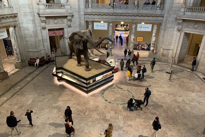 Smithsonian National Museum of Natural History with Guided Tour - Analyzing the Value