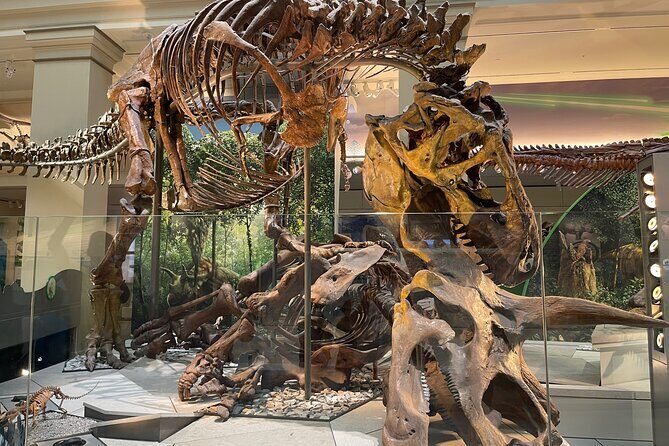 Smithsonian Natural History Museum Semi-Private Guided Tour - Who Should Consider This Tour?