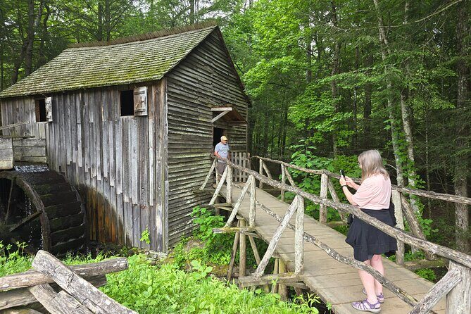 Smoky Mtn Cades Cove, RR/Logging Museum-Foothills Pky Spring Tour - Why This Tour Offers Excellent Value