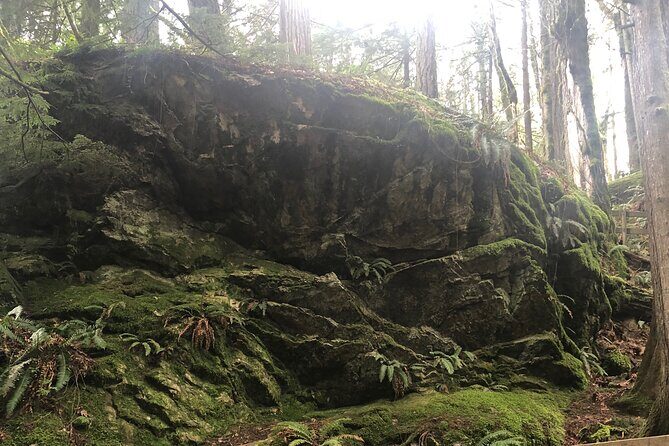 Snoqualmie falls and Twin Falls Hike - Why Travelers Love This Tour