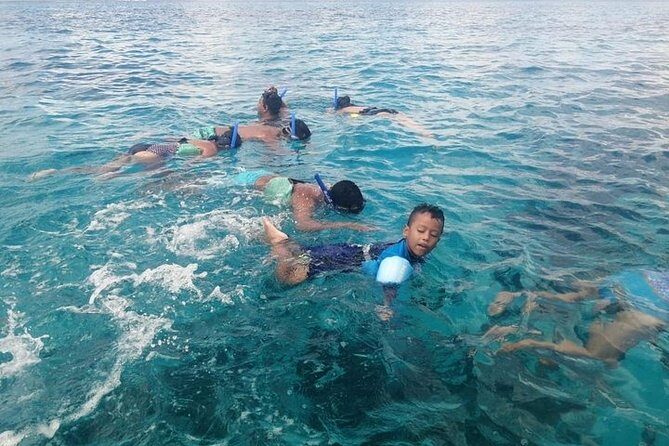 Snorkel Adventure at Cozumel! Transportation from Cancun & Playa Del Carmen - Practical Tips for Travelers