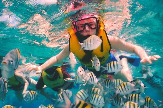Snorkel and swim in Cozumel el Cielo Reef, Palancar and Colombia - What the Price Gets You and What It Doesn’t