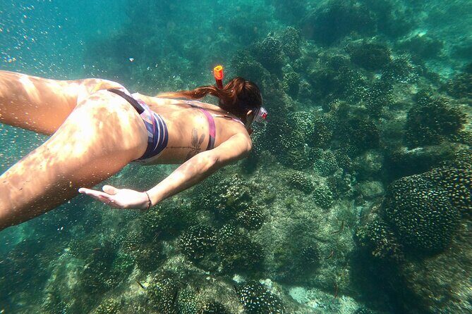 Snorkel and Whale Platinum Tour (Dec 15- Apr 15) - The Value of This Tour