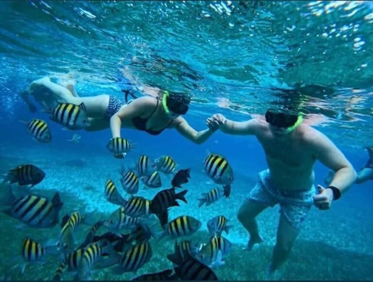 Snorkel in Cozumel and visit to El Cielo - The Itinerary: What You Can Expect