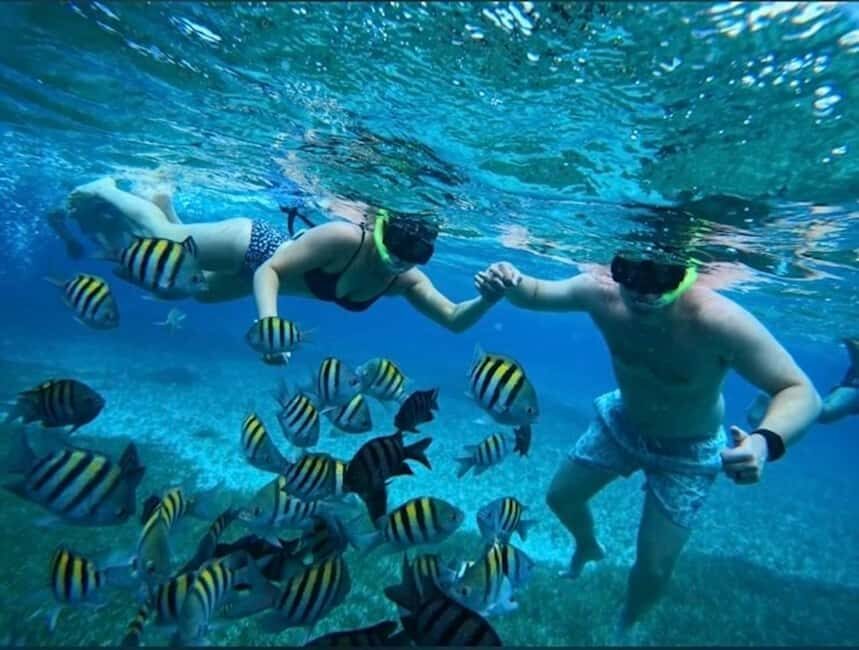 Snorkel in Cozumel and visit to El Cielo - The Itinerary: What You Can Expect
