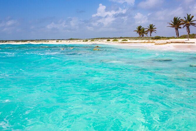 Snorkel in Paradise Cozumel El Cielito Palancar Reef Colombia - Who Should Consider This Tour?