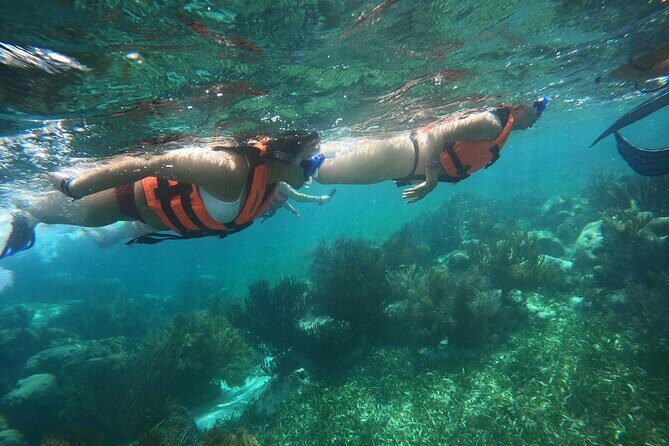 Snorkel in the beautiful reef of Puerto Morelos with transport - What the reviews tell us
