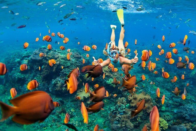 Snorkel in the second largest reef in the world Colorful tour in Puerto Morelos - Group Size and Duration: What to Expect