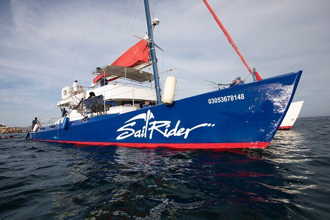 Snorkel, Lunch & Sail in Cabo San Lucas - A Closer Look at the Experience