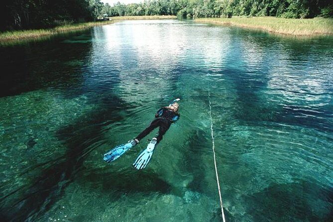 Snorkel Or Dive The Amazing Rainbow River Florida - Who Will Love This Experience?