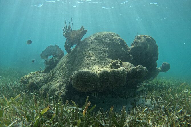 Snorkel Paradise Cancun 5 in 1 For Non Swimmers - Authentic Feedback from Guests