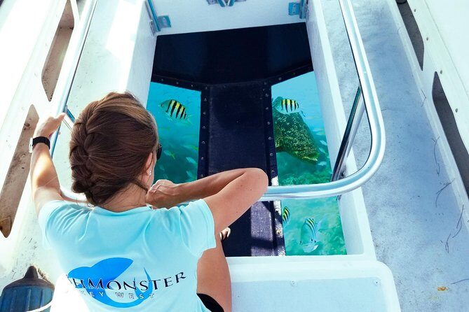 Snorkel, Sandbar & Dolphin Excursion - FAQs