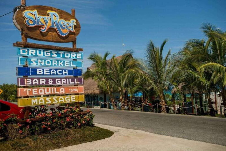 SNORKEL & TEQUILA TASTING - Who Will Love This Tour?