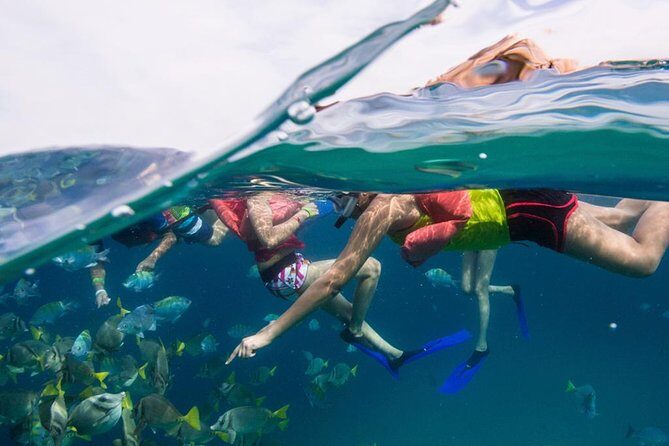 Snorkel Tour and Glass-Bottom Boat Ride in Cabo San Lucas - Practical Details & Tips