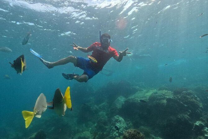 Snorkel Tour in private Trimarán in Los Cabos - Who Will Love This Tour?