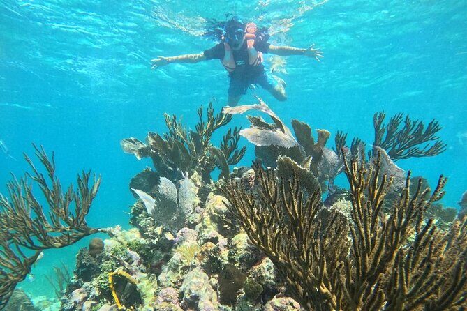 Snorkel Tour on the Costa Maya with experienced Guid - Final Thoughts: Is It Worth It?