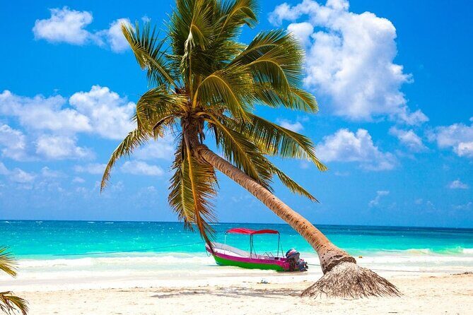 Snorkel Tulum: 2 reef point, 1 hour 20 minutes tour - Pricing and Value