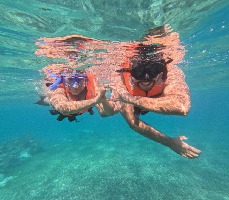 snorkel with tropical fish, reefs, and in search of turtles - Authentic Insights from Travelers